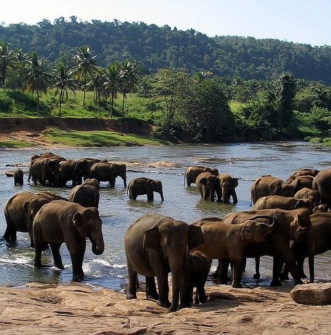 82ed7c3852453bb45b0029ec4b26a609