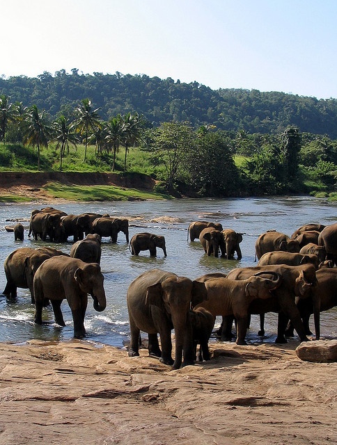 82ed7c3852453bb45b0029ec4b26a609